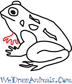 300x350 how to draw a toad - Toad Drawing