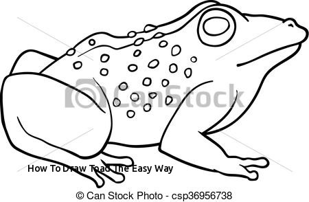 450x294 how to draw toad the easy way coloring book toad vectors search - Toad Drawing