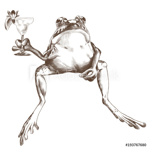 500x500 toad is sitting with a cocktail, sketch vector graphics monochrome - Toad Drawing