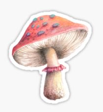 210x230 Toadstool Drawing Stickers Redbubble - Toadstool Drawing