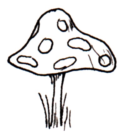 380x433 Toadstool For An Elf - Toadstool Drawing