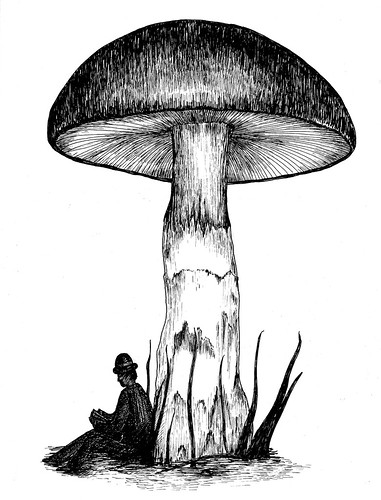 381x500 Under The Toadstool - Toadstool Drawing