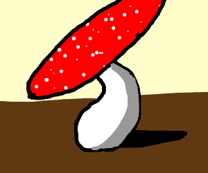 300x250 Mushroomtoadstool Drawing - Toadstool Drawing