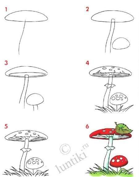 450x572 paddenstoel tekenen met kleuters how to draw a toadstool - Toadstool Drawing
