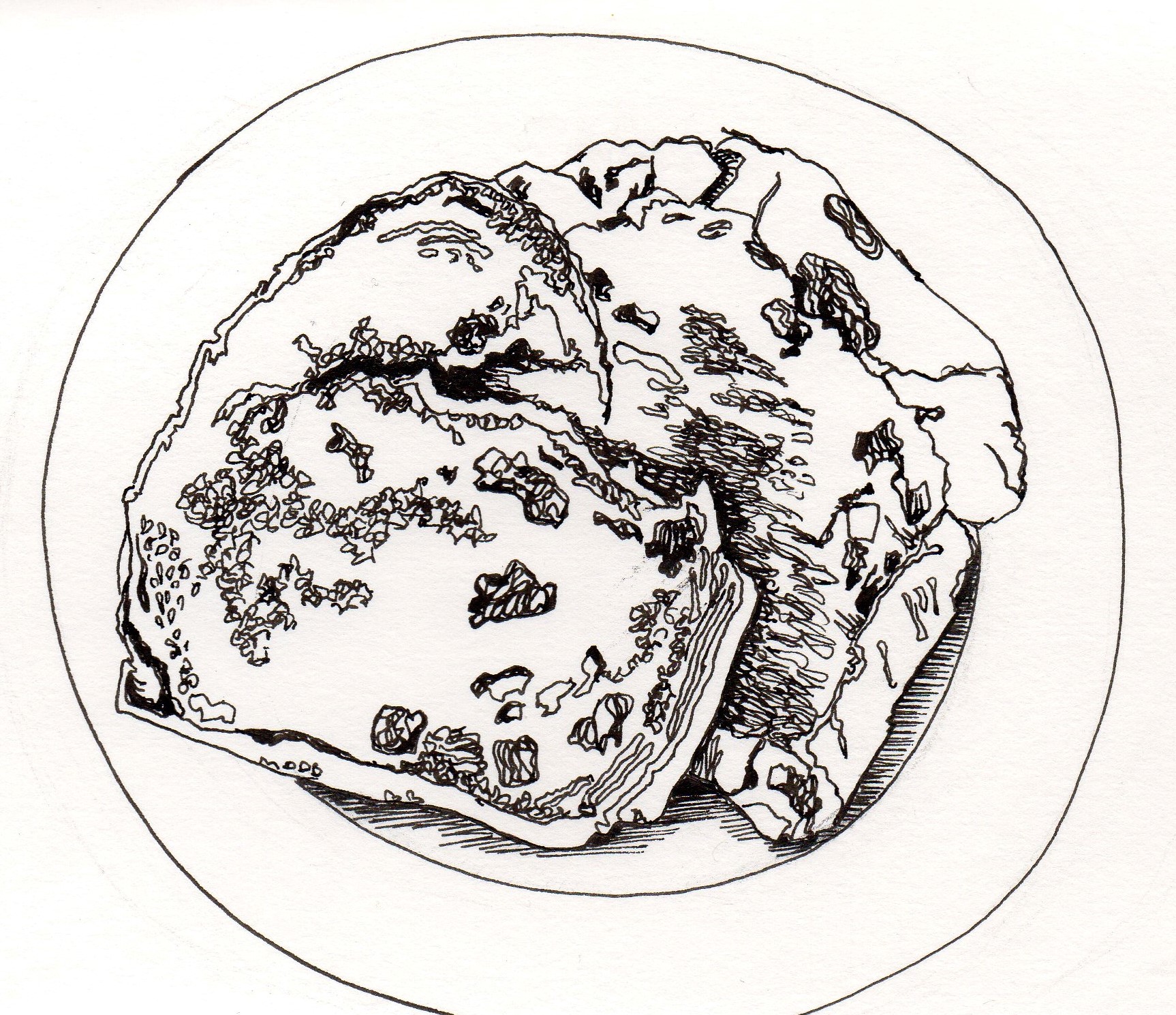 1726x1489 toast sally says  eat, sleep, work, read, play, draw, bark - Toast Drawing