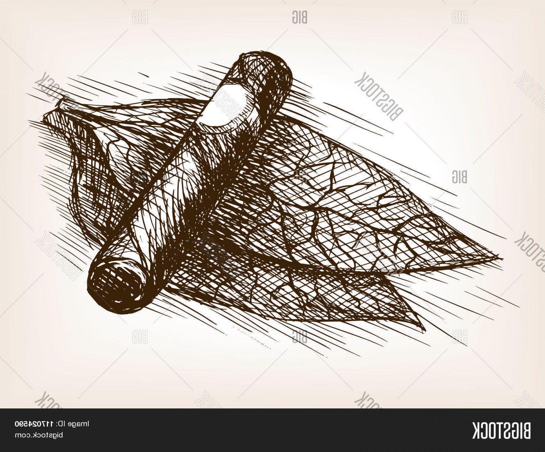 1800x1494 stock vector tobacco leaves and cigar sketch style vector - Tobacco Leaf Drawing