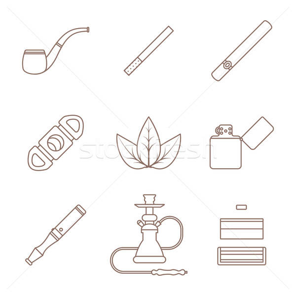 600x600 tobacco leaf stock vectors, illustrations and cliparts stockfresh - Tobacco Leaf Drawing