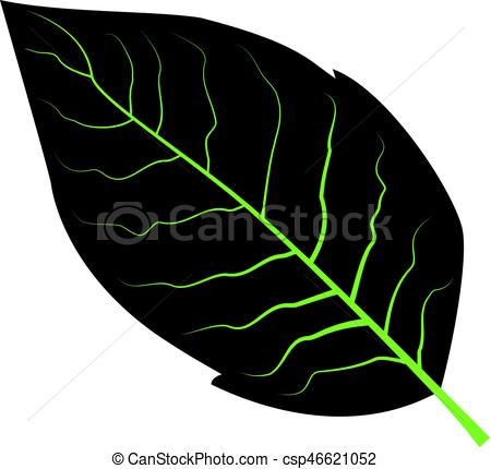 450x430 tobacco leaf clip art tobacco leaf drawing - Tobacco Leaf Drawing