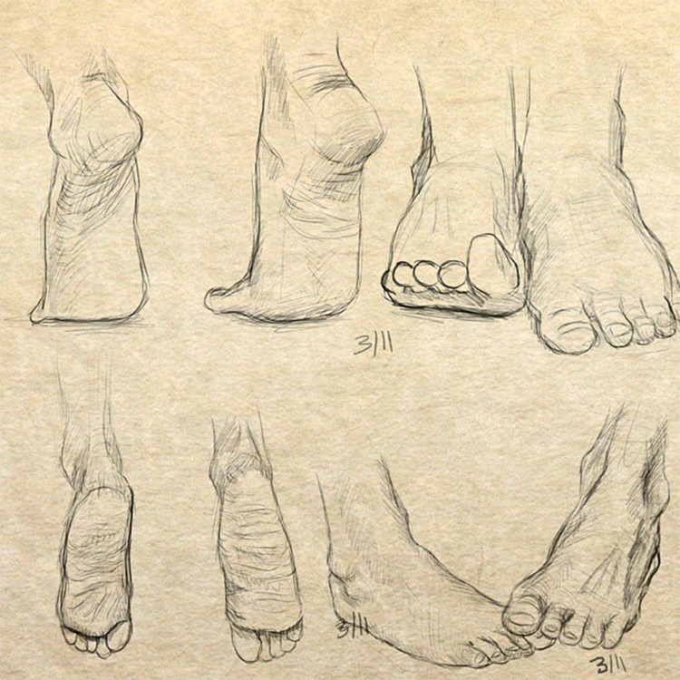 750x750 drawings of feet sketches anatomy studies - Toe Drawing