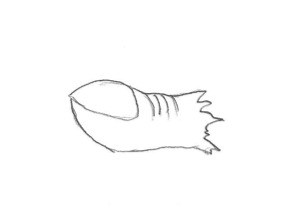 301x222 Thinking Things Through Lessons Learned From Nearly Swallowing - Toe Drawing