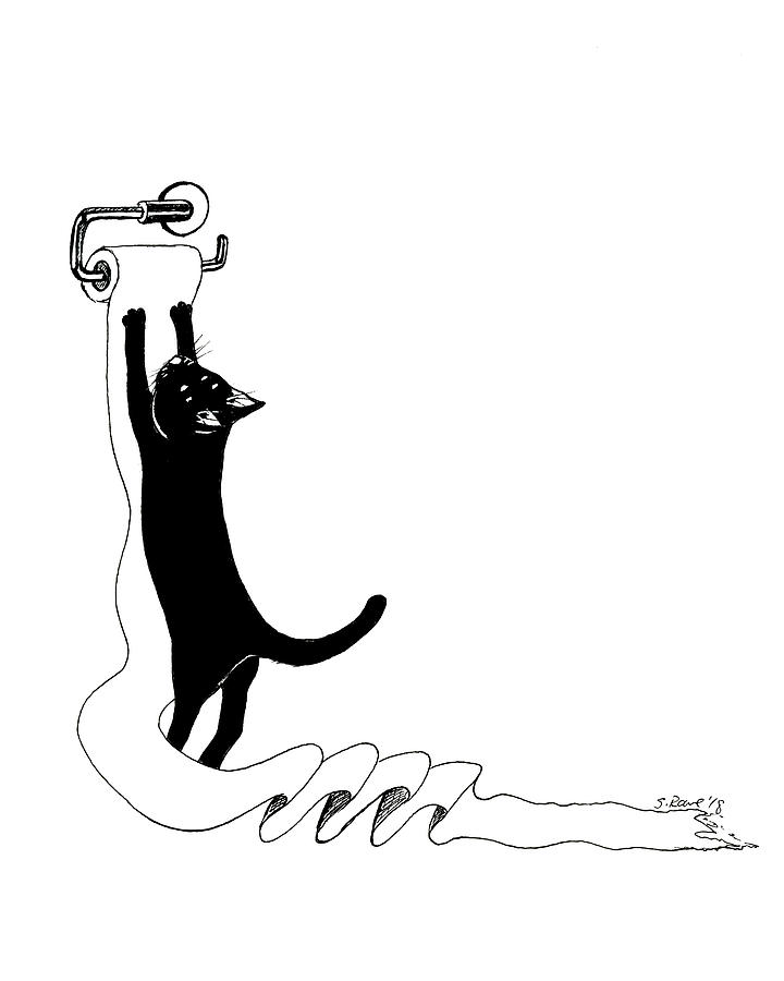 720x900 cat vs toilet paper drawing - Toilet Paper Drawing