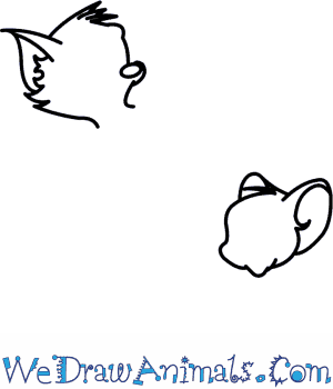 300x350 How To Draw Tom And Jerry - Tom Drawing