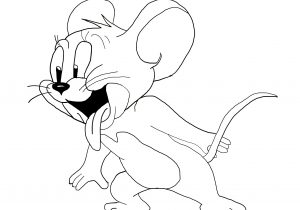 300x210 Pencil Drawings Of Tom And Jerry Tom And Jerry Drawing - Tom Drawing