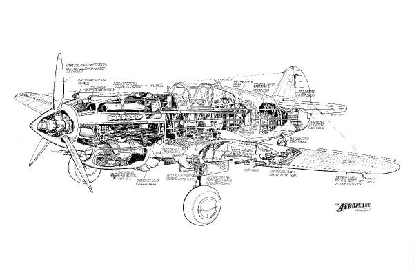 600x393 Prints Of Curtiss Tomahawk Cutaway Drawing - Tomahawk Drawing