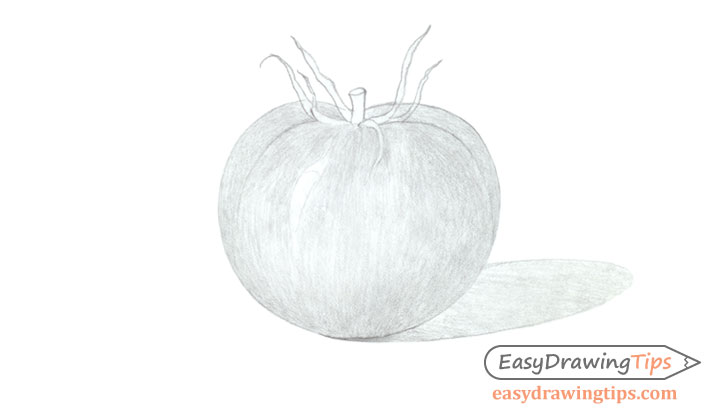 728x420 how to draw a tomato step - Tomato Drawing