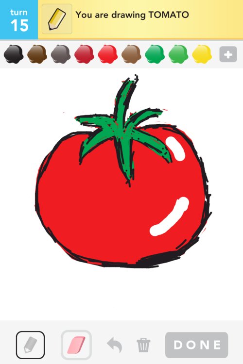 500x750 tomato drawings - Tomato Drawing