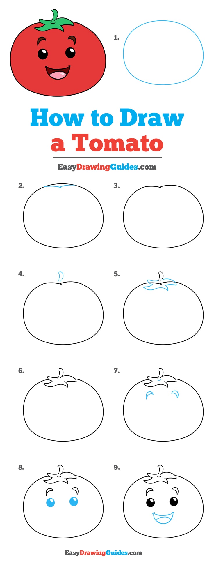 736x1940 how to draw a tomato - Tomato Drawing Pictures