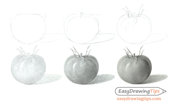 728x440 how to draw a tomato step - Tomato Drawing Pictures