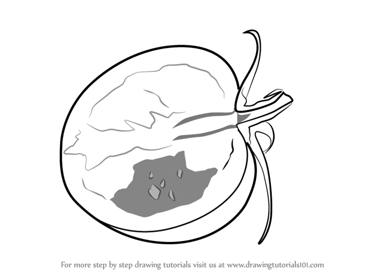 800x567 learn how to draw a sliced tomato - Tomato Drawing Pictures