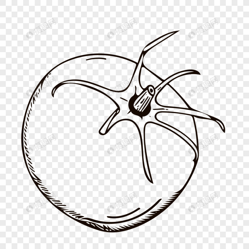 860x860 line drawing tomato png image picture free download - Tomato Drawing Pictures