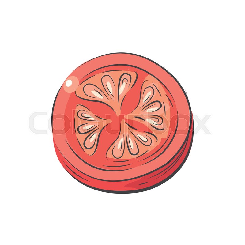 800x800 sliced tomato vector drawing stock vector colourbox - Tomato Drawing Pictures