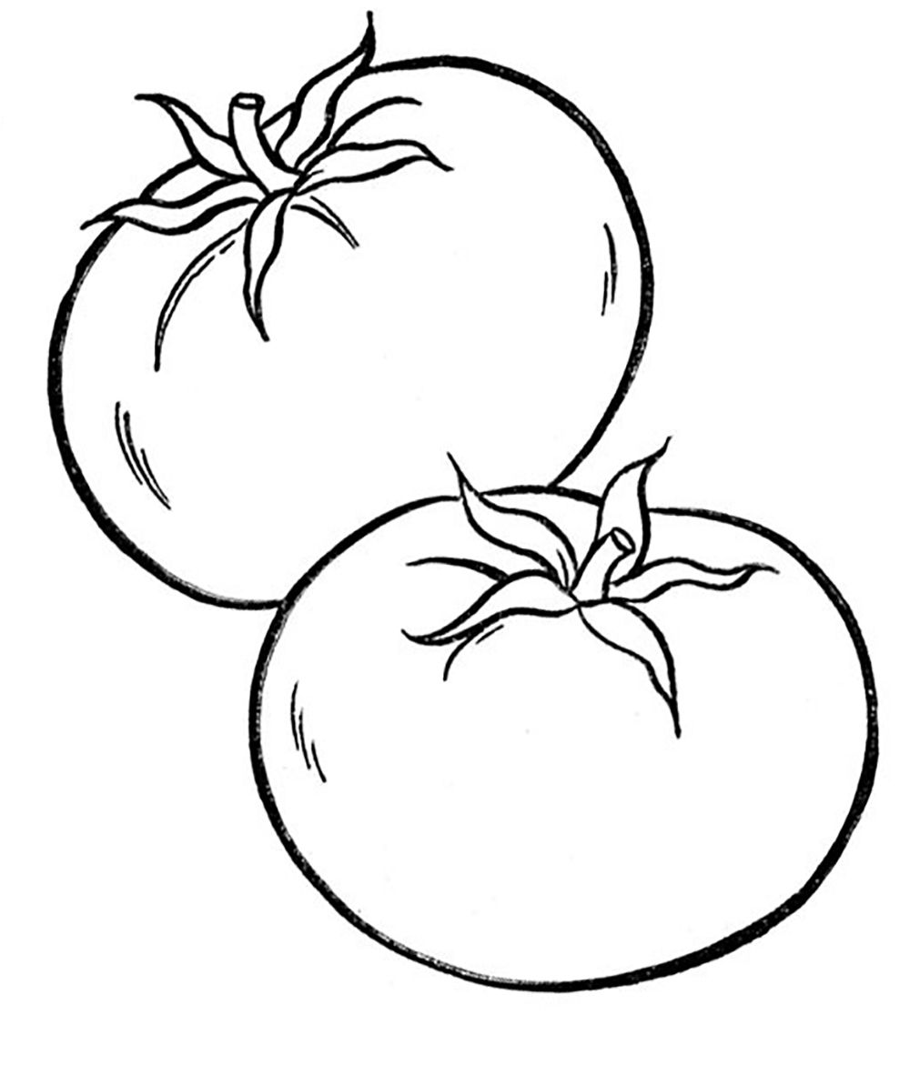 1000x1193 tomato drawing free download - Tomato Drawing Pictures