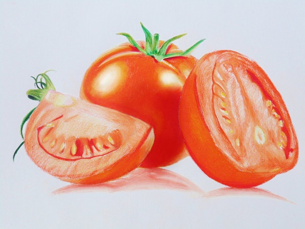 1000x750 tomato speed drawing - Tomato Drawing Pictures