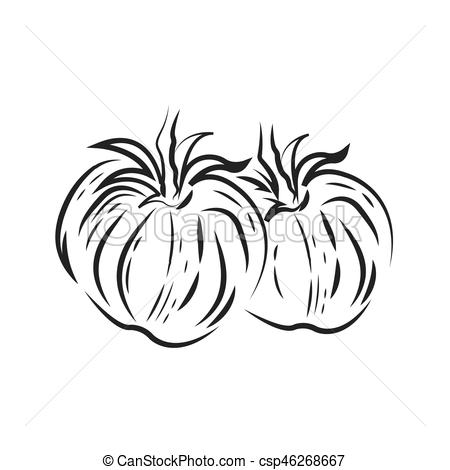 450x470 two tomato drawing icon - Tomato Drawing Pictures
