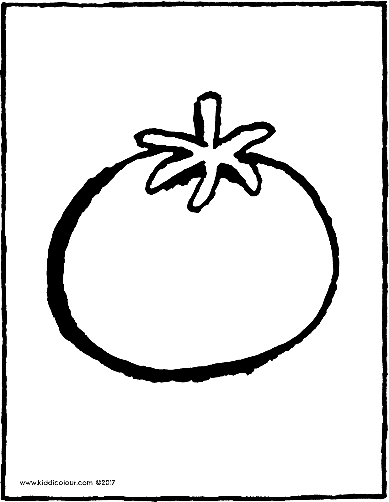 1240x1600 tomato - Tomato Drawing Pictures