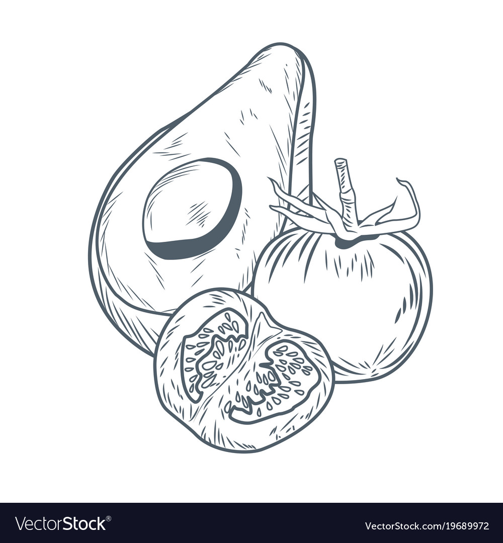 1000x1080 drawn tomato drawing - Tomato Drawing Pictures