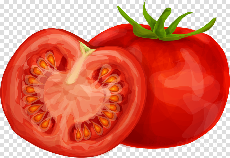 Tomato Drawing Pictures at Explore collection of
