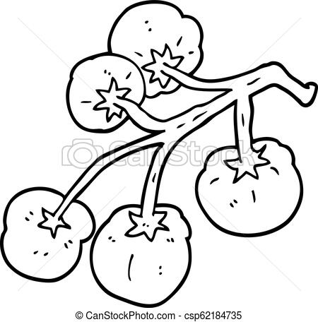 450x456 Line Drawing Cartoon Tomatoes On Vine - Tomato Line Drawing