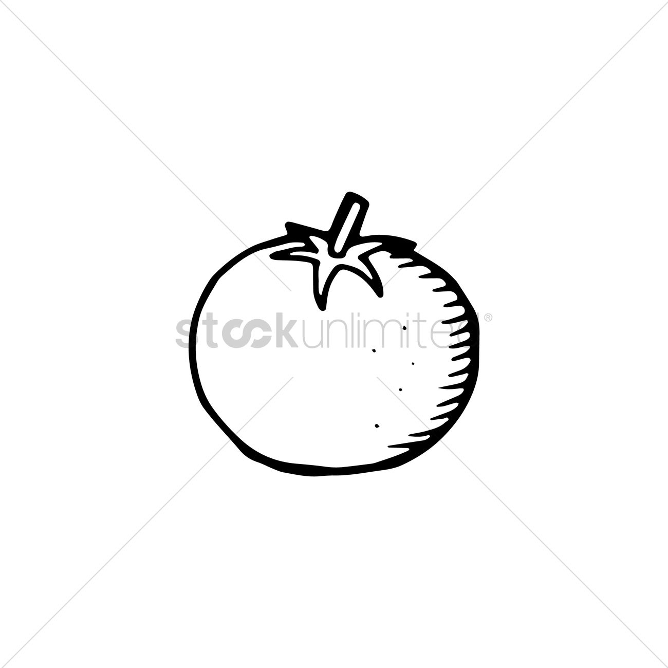 1300x1300 Tomato Vector Image - Tomato Line Drawing