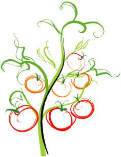 236x307 kentucky grow - Tomato Plant Drawing