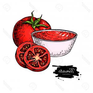 300x300 Photostock Vector Tomato Sauce Drawing Vector Isolated - Tomato Slice Drawing