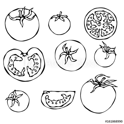 500x500 Set Of Fresh Red Tomatoes Half Of Tomato, Slice Of Tomato, Cherry - Tomato Slice Drawing