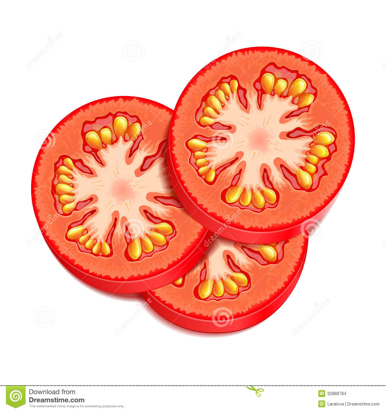 Tomato Slice Drawing at PaintingValley.com | Explore collection of ...