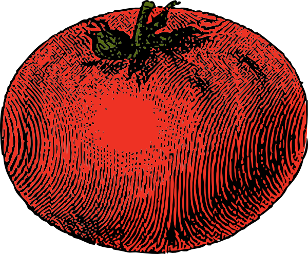 600x495 Tomatoes Drawing Tomato Slice Transparent Png Clipart Free - Tomato Slice Drawing
