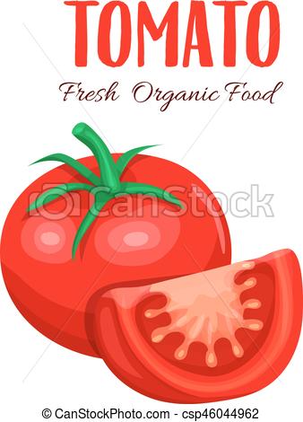 338x470 Vector Tomato Slice Red Farm Vegetable Isolated In Cartoon Style - Tomato Slice Drawing