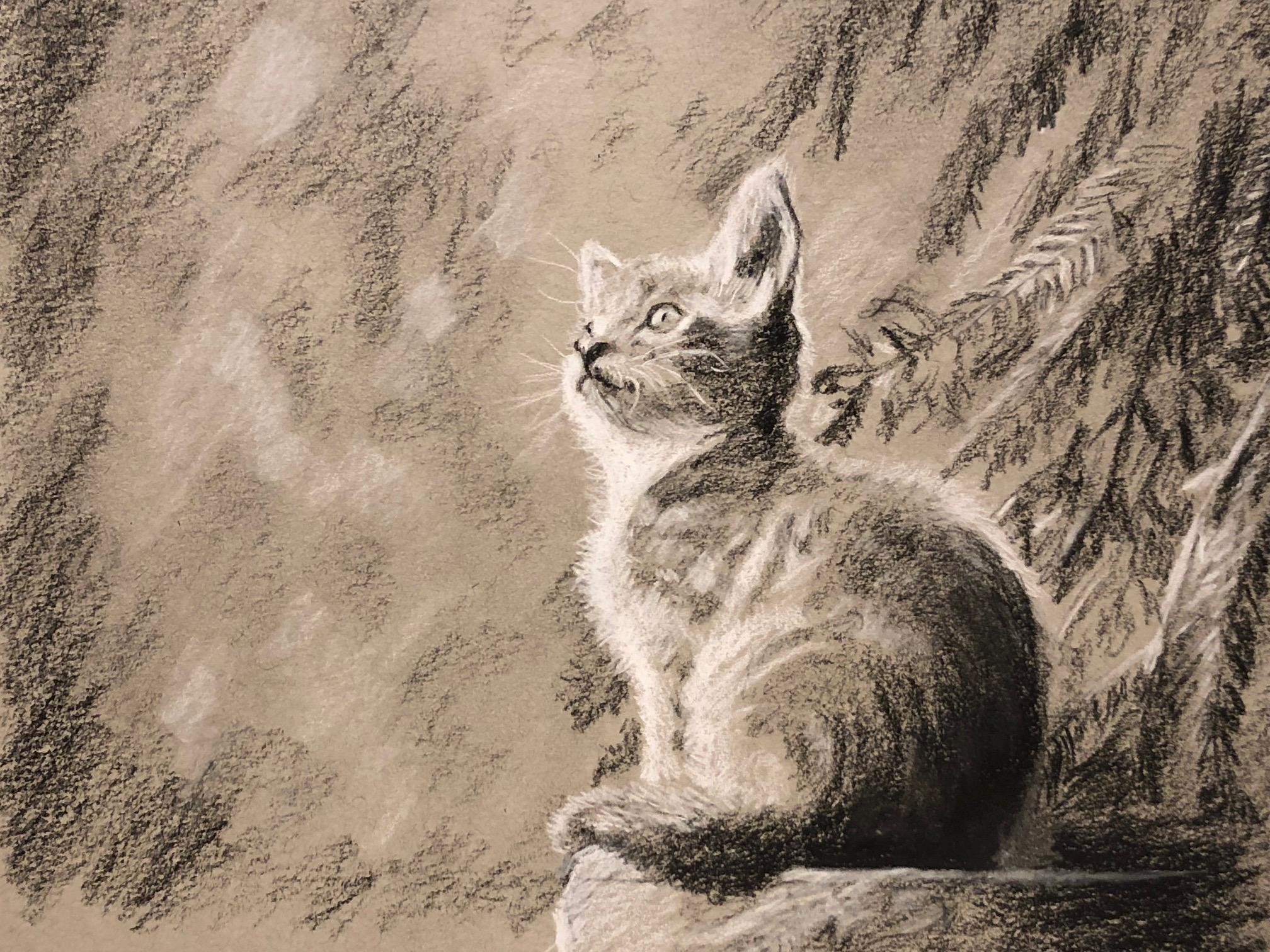 2016x1512 Pretty Kitty Drawing Black And White Charcoal On Toned Paper - Toned Paper Drawing