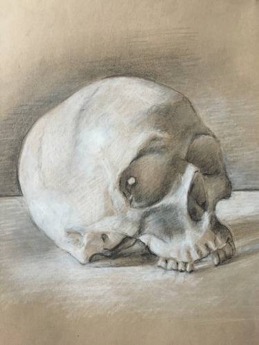 375x500 Skull On Paper Drawing - Toned Paper Drawing