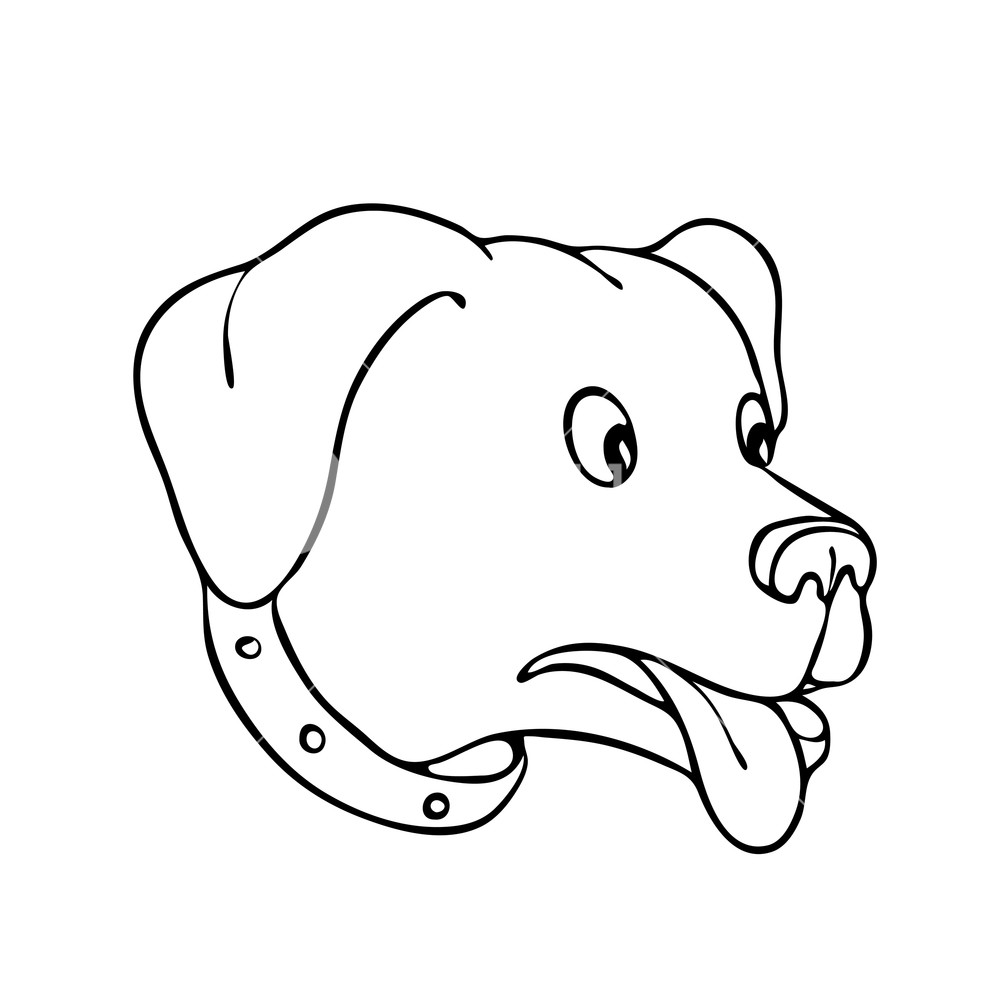 1000x1000 drawing sketch style illustration of a labrador retriever, black - Tongue Out Drawing