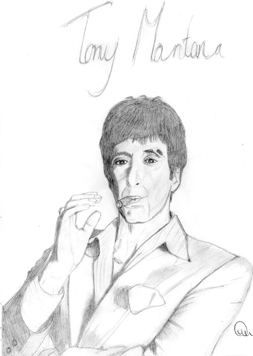 512x720 tony montana - Tony Montana Drawing