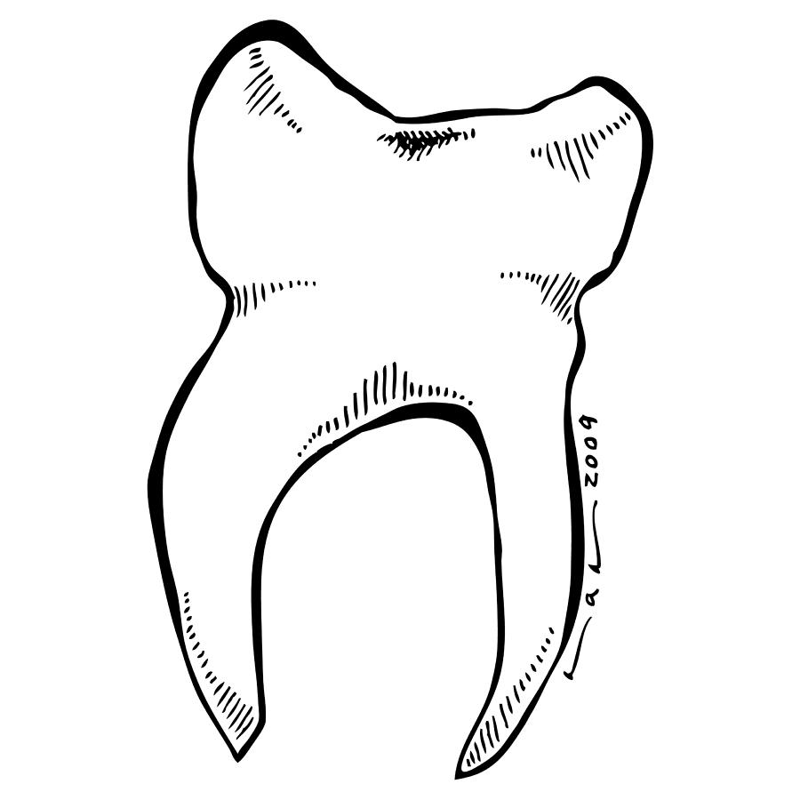 900x900 tooth drawing - Tooth Drawing