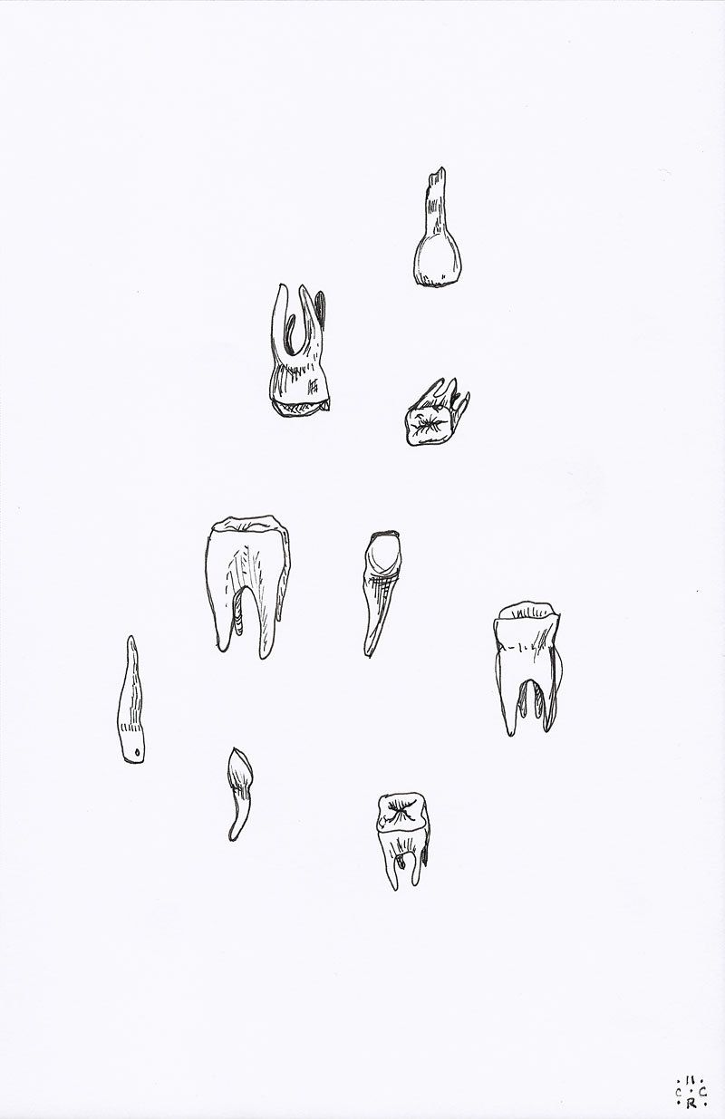800x1235 Teeth Drawing - Tooth Drawing