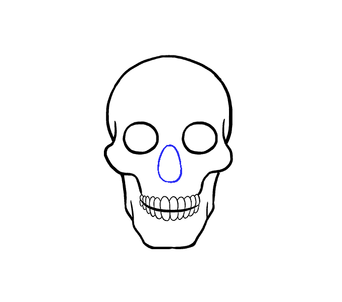 678x600 How To Draw A Skull Step - Tooth Line Drawing