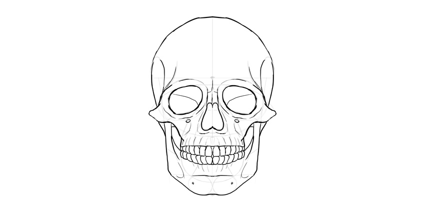 850x421 How To Draw A Skull - Tooth Line Drawing