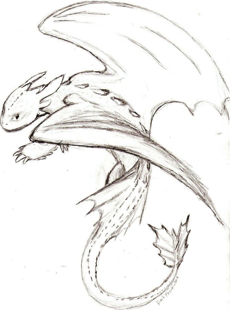 771x1036 i have seen how to train your dragon recently, easily my favourite - Toothless Dragon Drawing