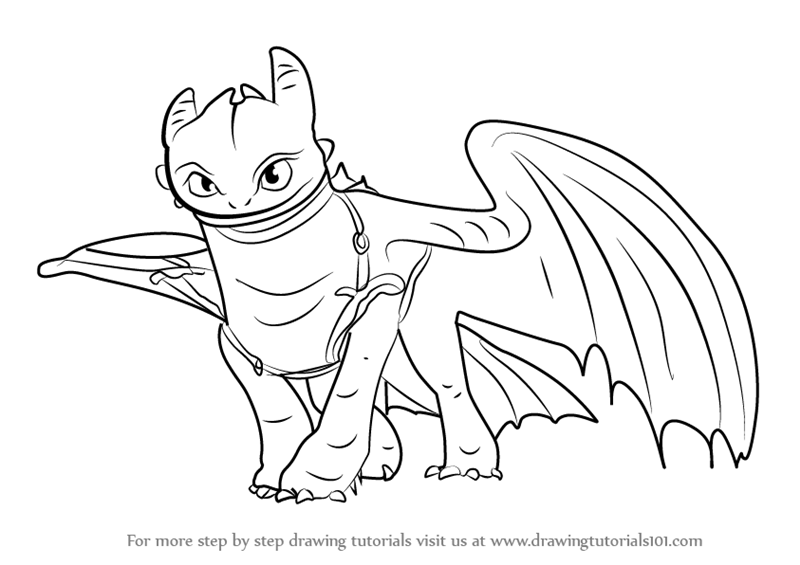800x565 learn how to draw toothless from how to train your dragon - Toothless Dragon Drawing