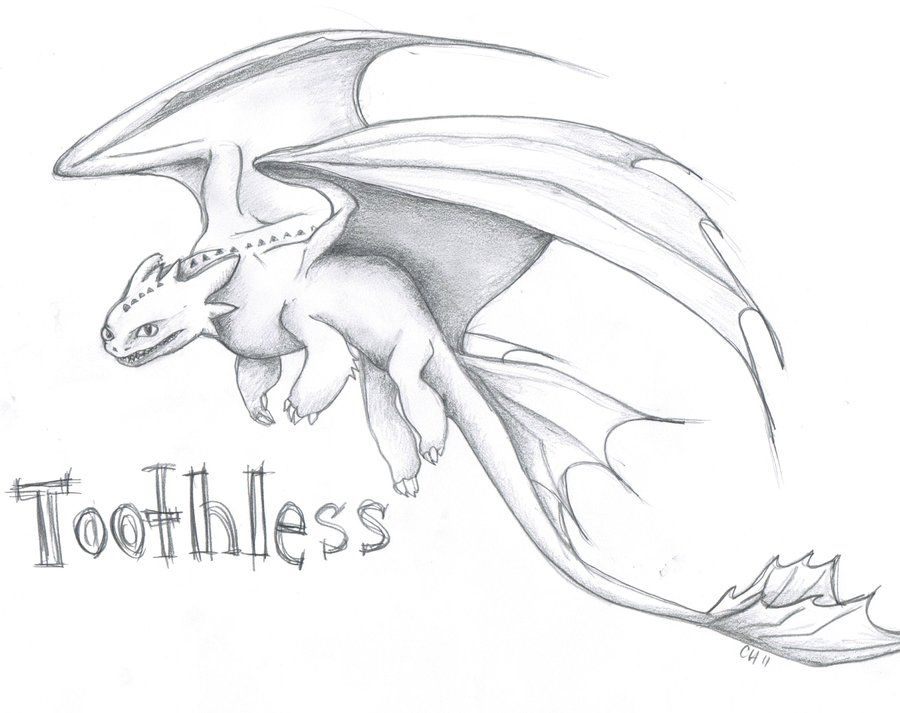 Toothless Dragon Drawing at Explore collection of